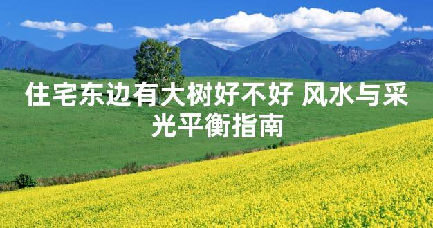 住宅东边有大树好不好 风水与采光平衡指南